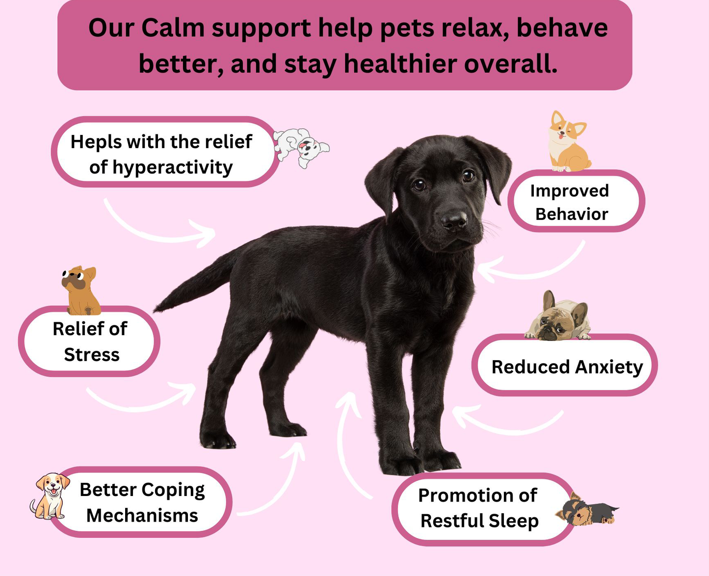 Calm Heath Supplement, Eases Anxiety & Aids Digestion