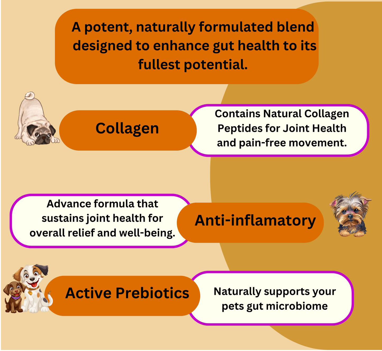 Hip and Joint Mobility Support Supplement, Natural Joint Care for Pets