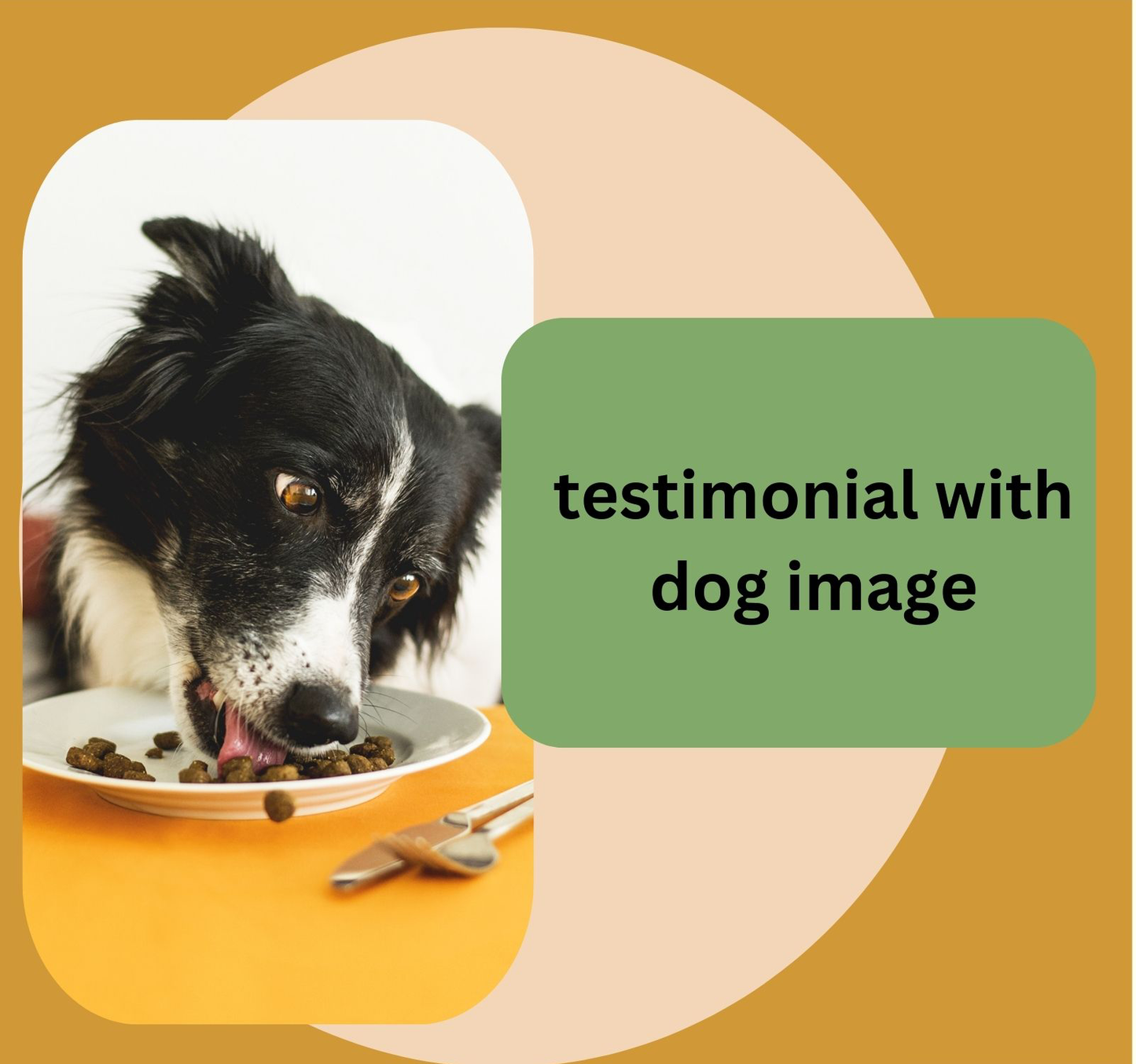 Hip and Joint Mobility Support Supplement, Natural Joint Care for Pets