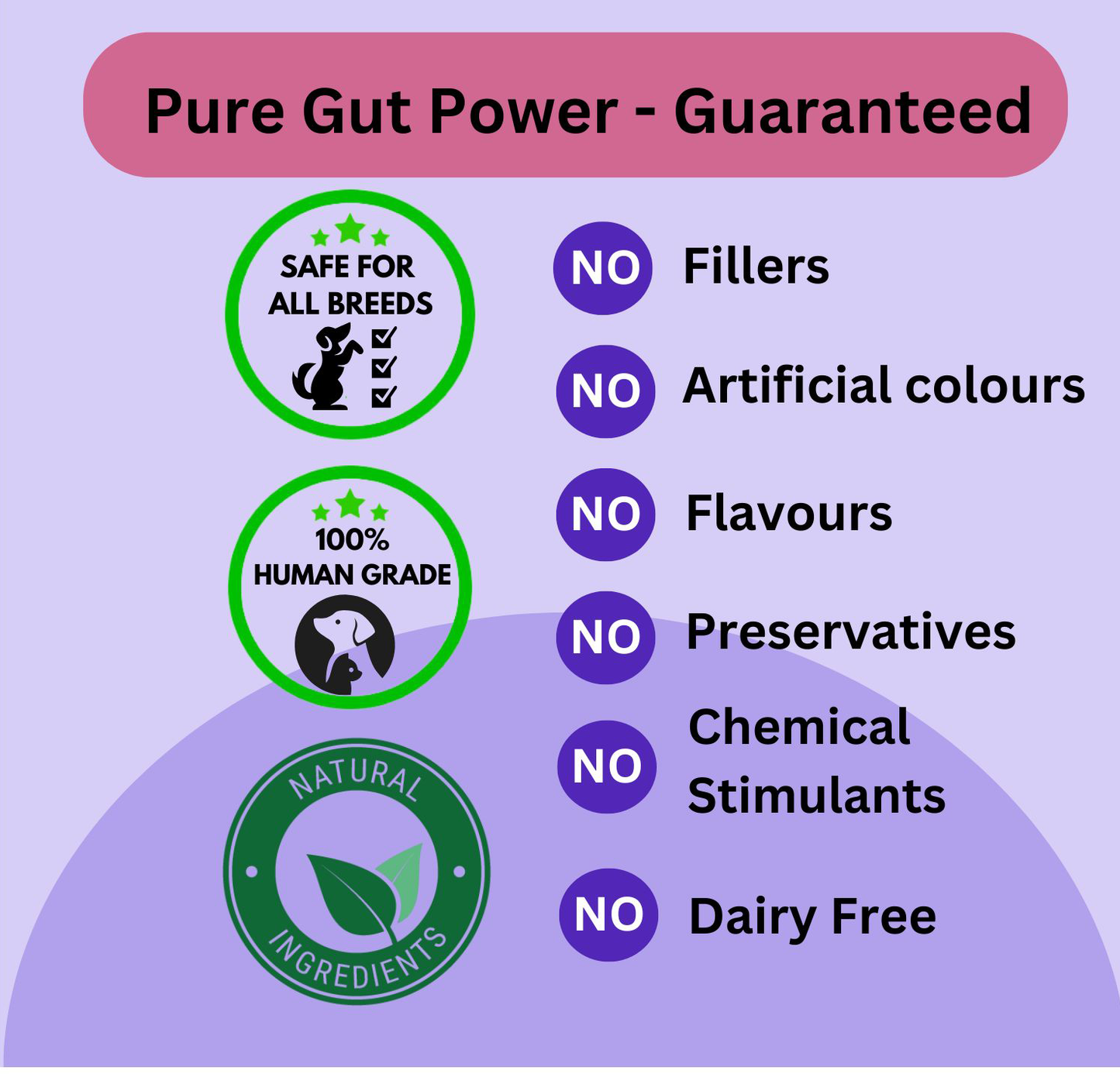 Prebiotic, Gut Support Supplement, Natural Prebiotic Support for Pets