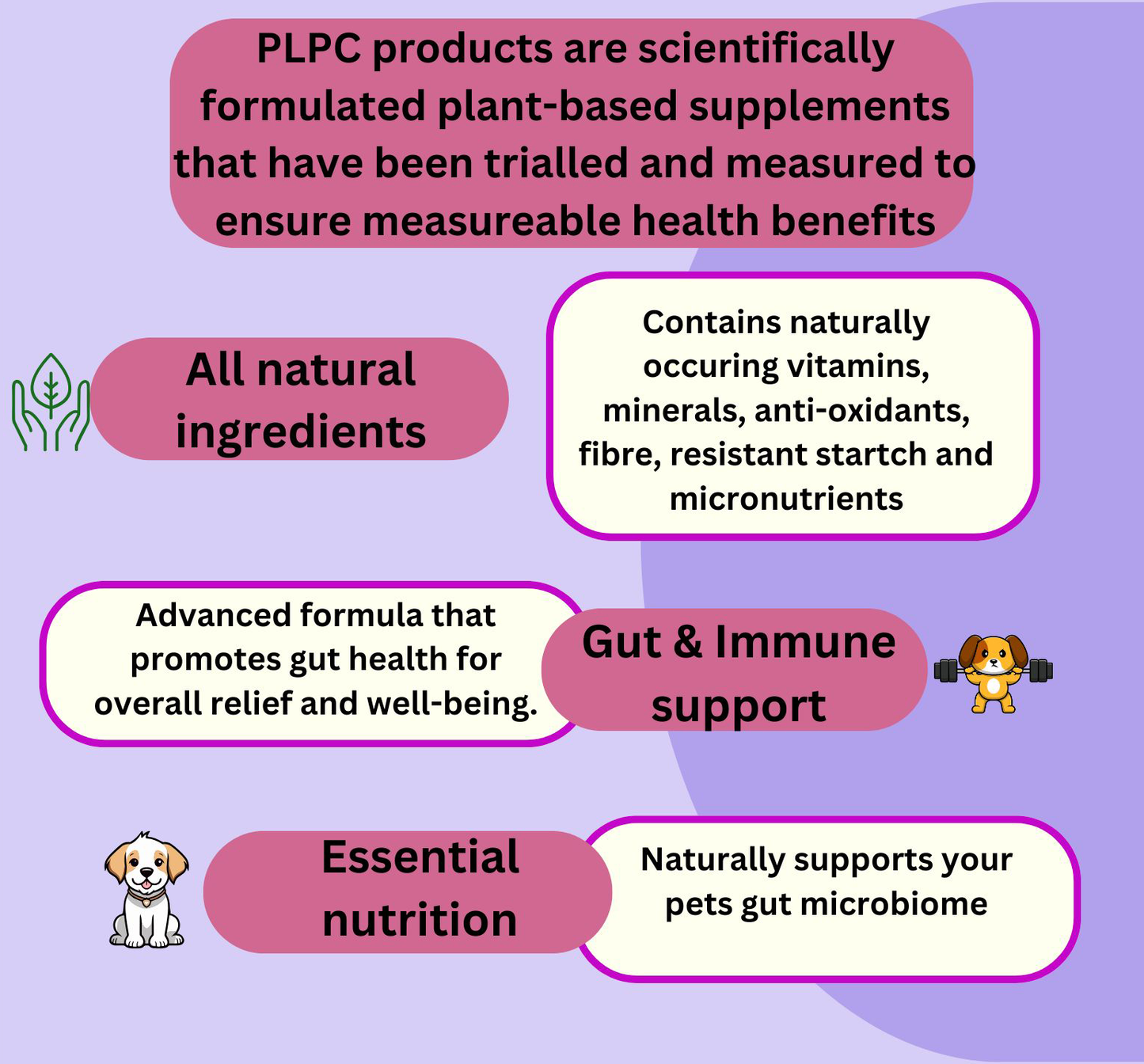 Prebiotic, Gut Support Supplement, Natural Prebiotic Support for Pets