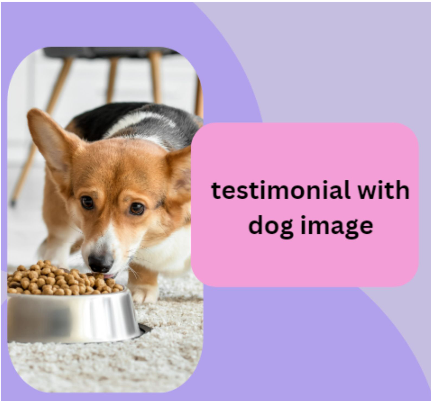 Prebiotic, Gut Support Supplement, Natural Prebiotic Support for Pets