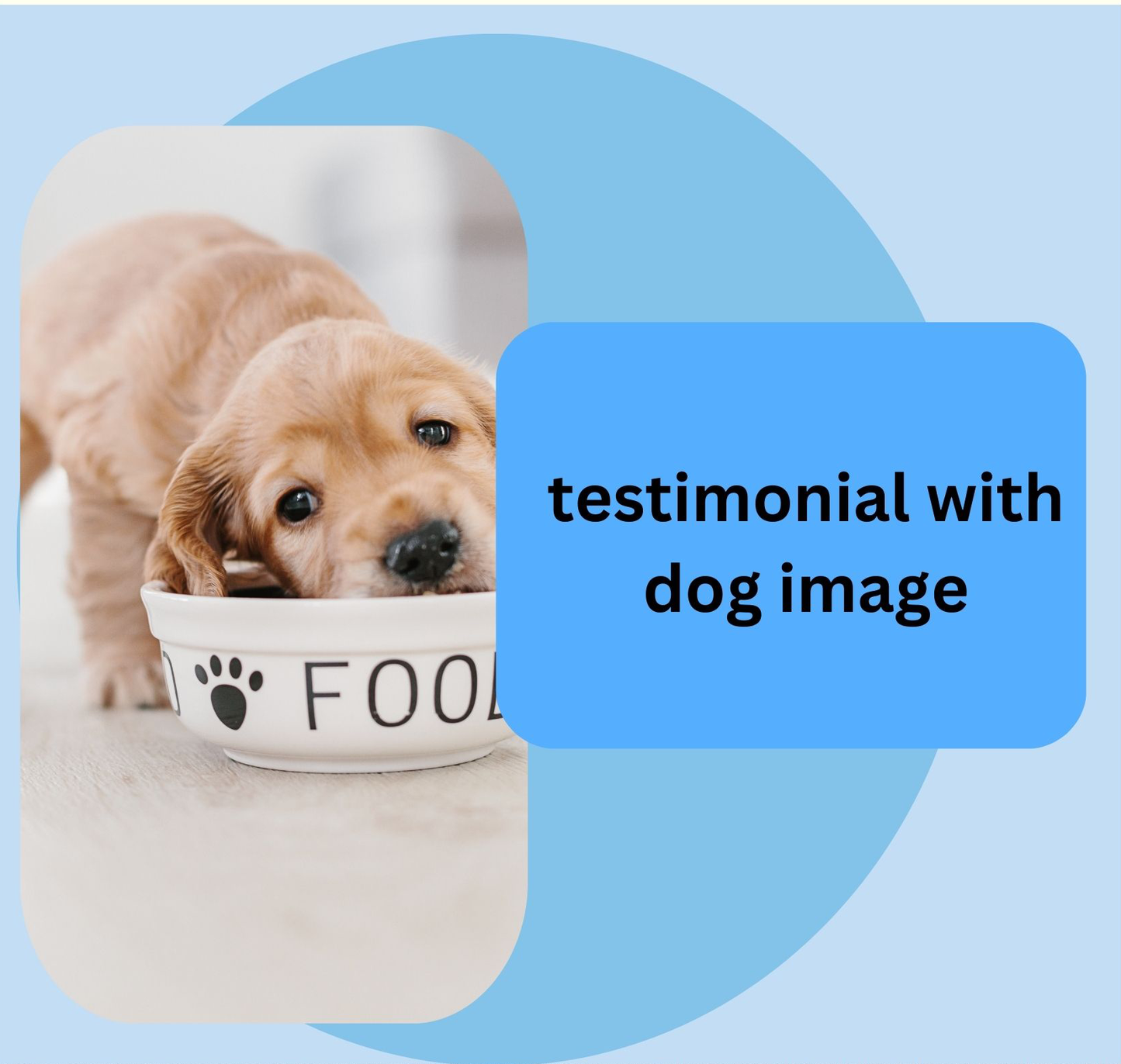 Optimum Pup and Dog Health Supplement, Immune, Joint & Gut Support