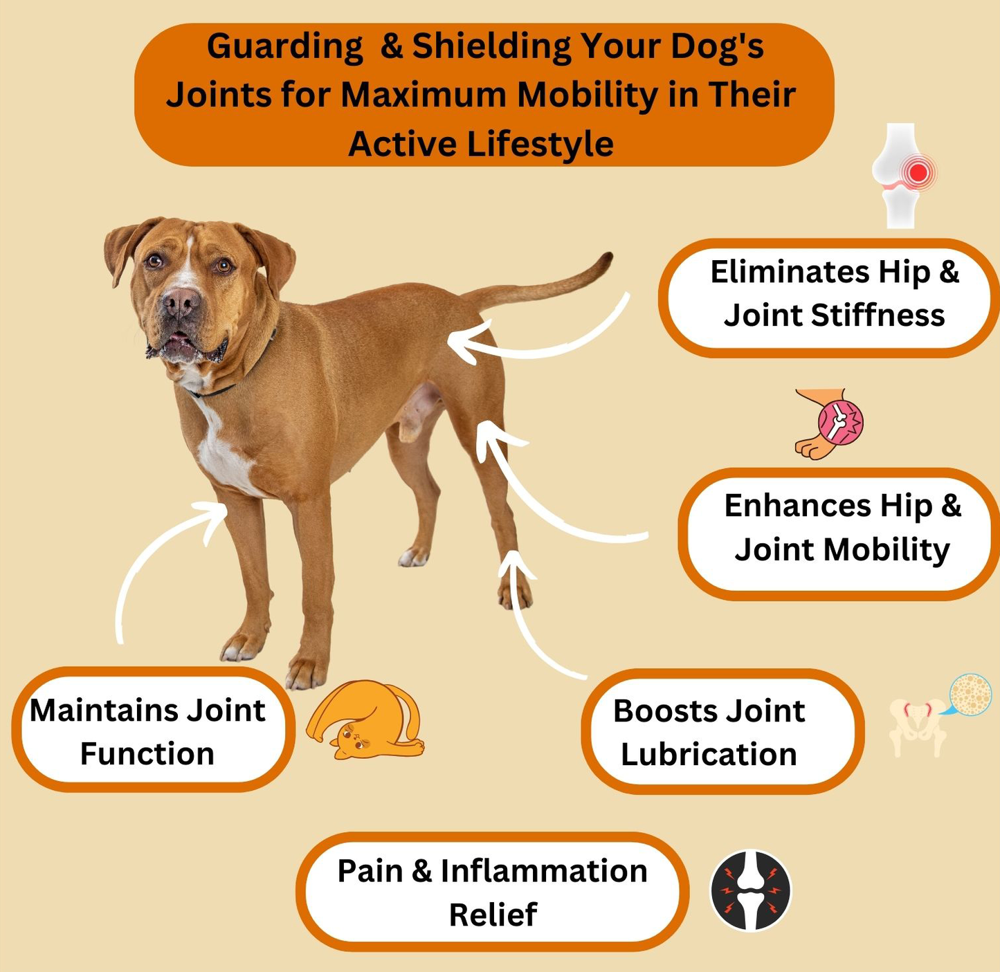 Hip and Joint Mobility Support Supplement, Natural Joint Care for Pets