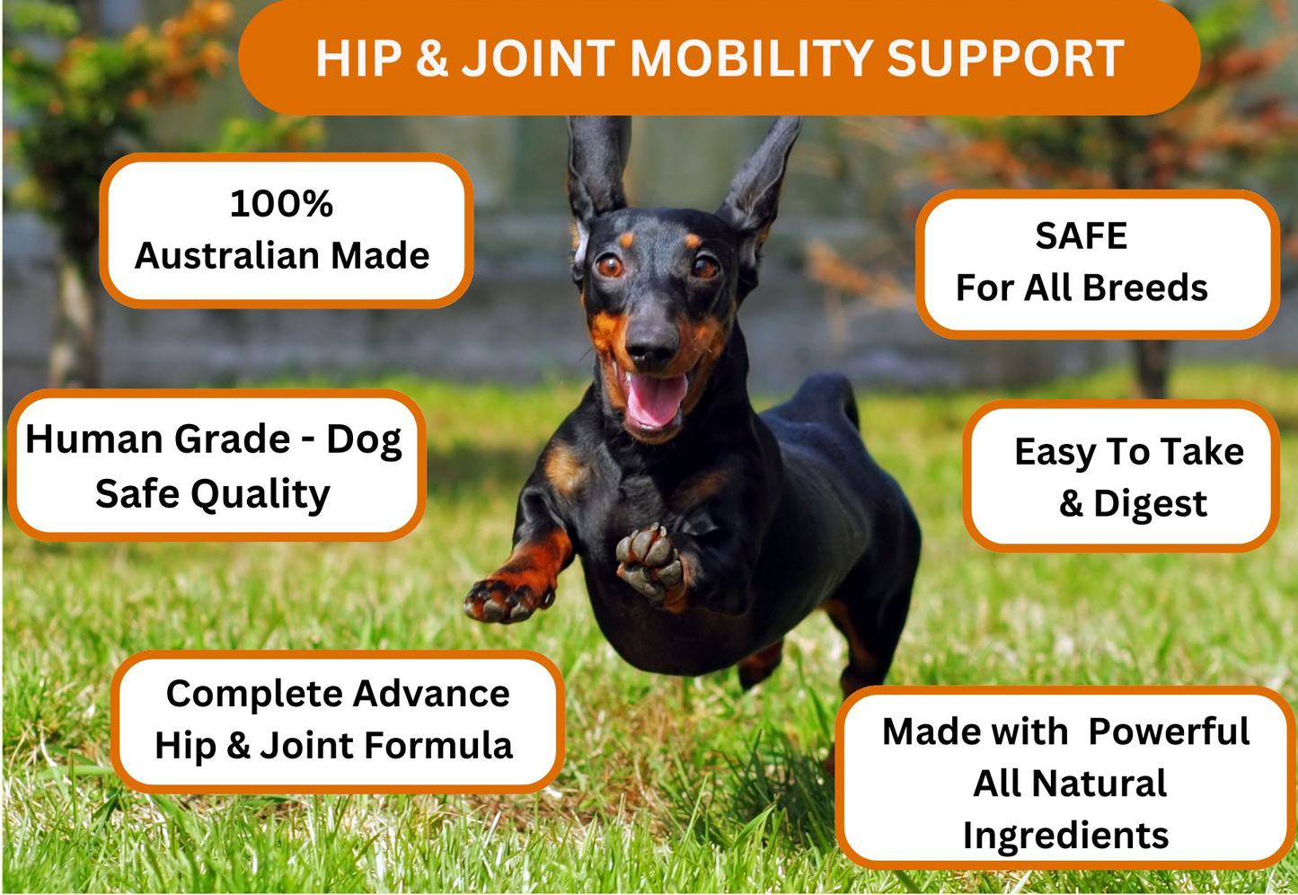 Hip and Joint Mobility Support Supplement, Natural Joint Care for Pets