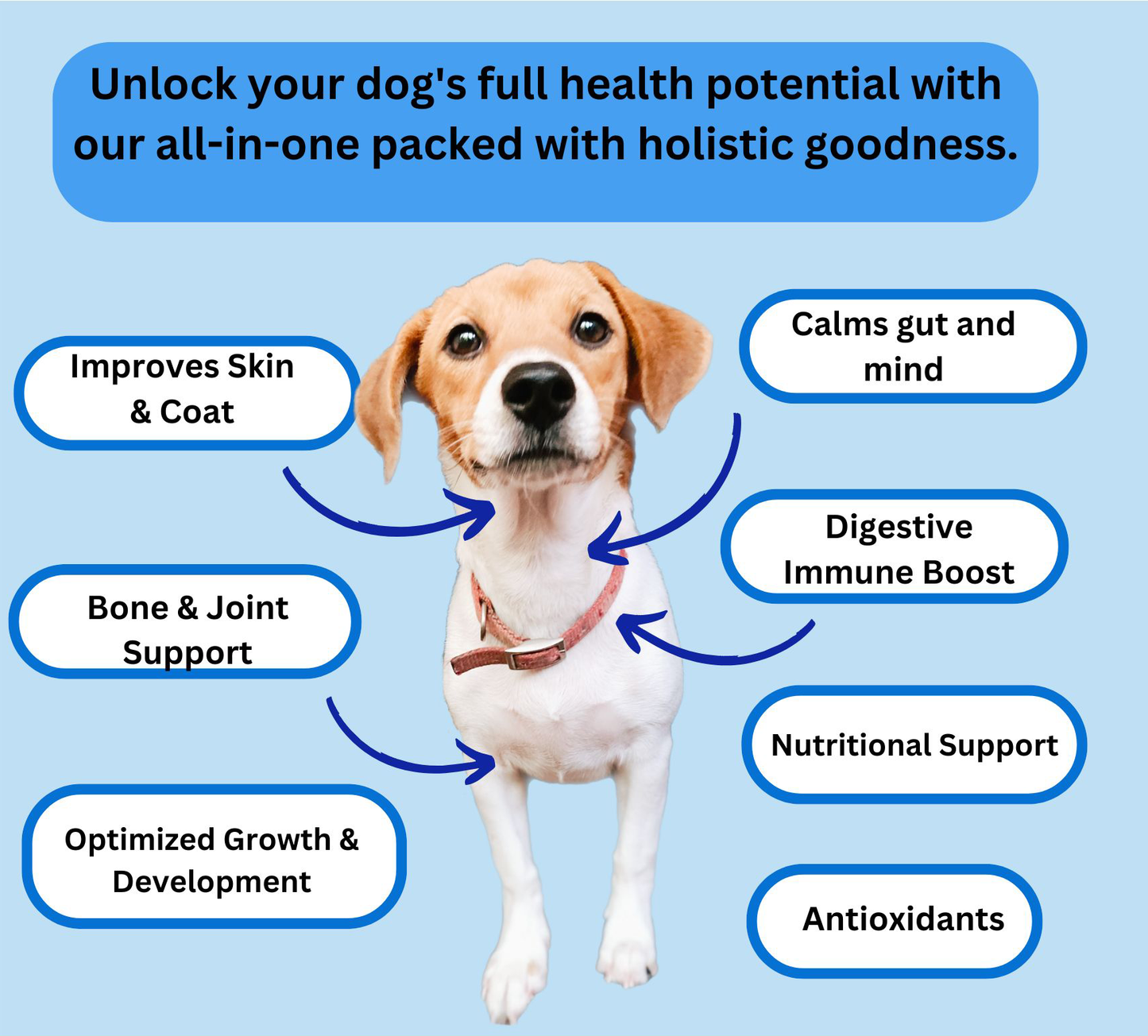 Optimum Pup and Dog Health Supplement, Immune, Joint & Gut Support